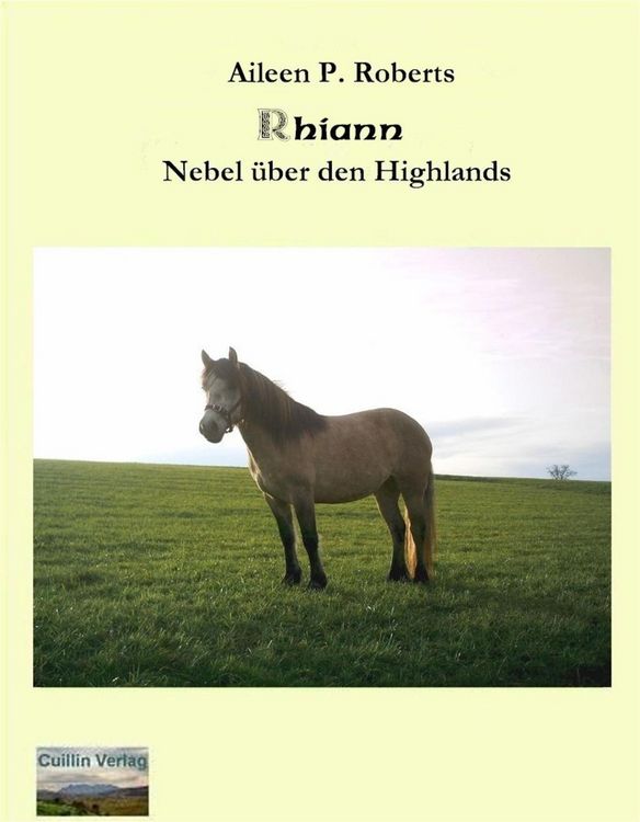 Produktbild: Rhiann - Nebel &uuml;ber den Highlands