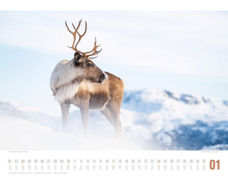 Produktbild: Tierwelt Skandinavien Kalender 2027