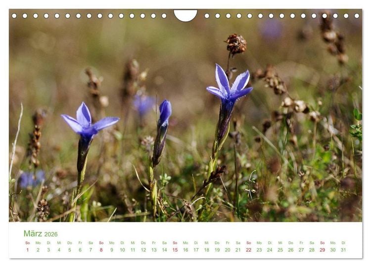 Produktbild: Bergwelt in &Ouml;sterreich (Wandkalender 2026 DIN A4 quer), CALVENDO Monatskalender