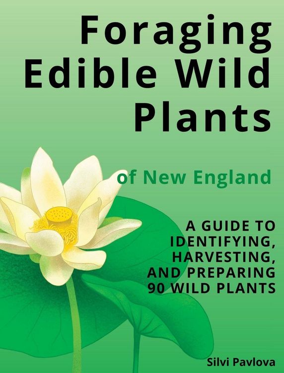 Produktbild: Foraging Edible Wild Plants of New England