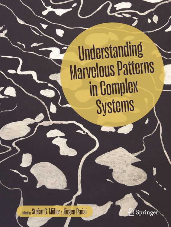 Produktbild: Understanding Marvelous Patterns in Complex Systems