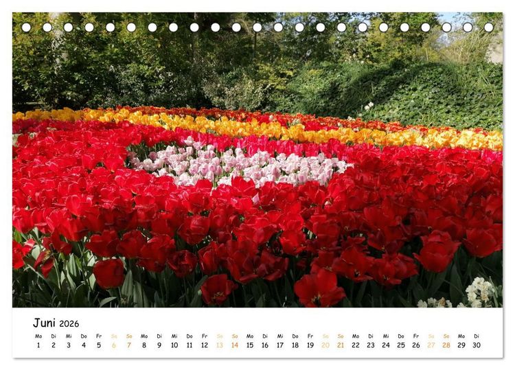Produktbild: Auf Tour im Land der Tulpen (Tischkalender 2026 DIN A5 quer), CALVENDO Monatskalender
