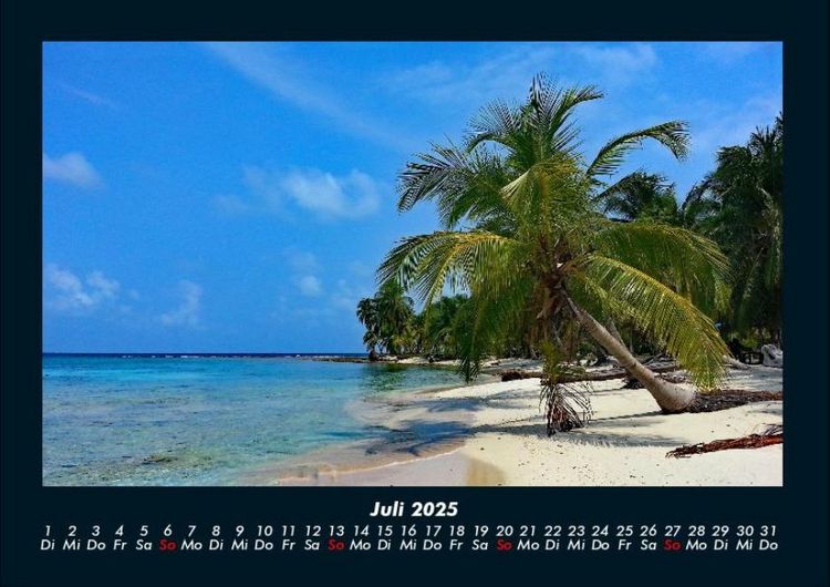 Produktbild: Palmentraum 2025 Fotokalender DIN A4