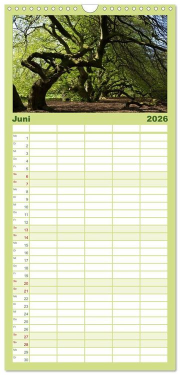 Produktbild: Familienplaner 2026 - Baum-Variationen mit 5 Spalten (Wandkalender, 21 x 45 cm) CALVENDO