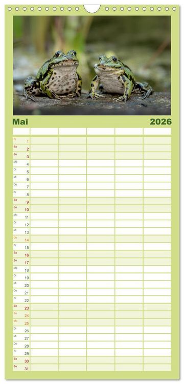 Produktbild: Familienplaner 2026 - Gl&uuml;ckliche Fr&ouml;sche mit 5 Spalten (Wandkalender, 21 x 45 cm) CALVENDO