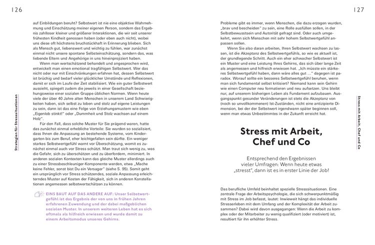 Produktbild: Stress positiv nutzen