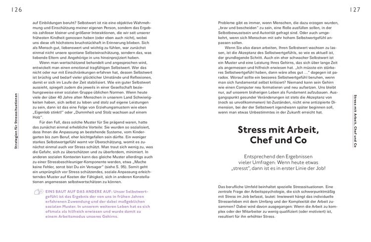 Produktbild: Stress positiv nutzen