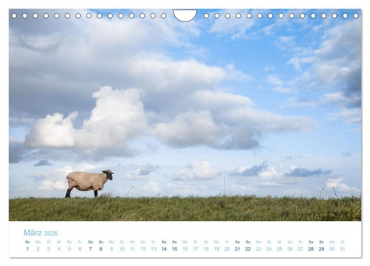 Produktbild: Mehr Nordsee (Wandkalender 2026 DIN A4 quer), CALVENDO Monatskalender