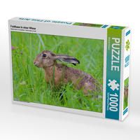 Produktbild: CALVENDO Puzzle Feldhase in einer Wiese | 1000 Teile Lege-Gr&ouml;&szlig;e 64x48cm Foto-Puzzle f&uuml;r gl&uuml;ckliche Stunden