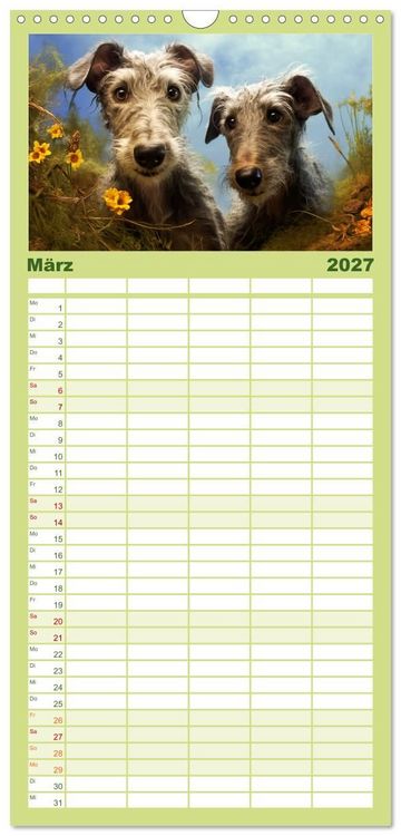 Produktbild: Familienplaner 2027 - Lurcher Portraits - Zwei Welpen entdecken die Welt mit 5 Spalten (Wandkalender, 21 x 45 cm) CALVENDO