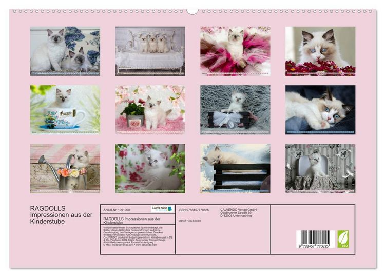 Produktbild: RAGDOLLS Impressionen aus der Kinderstube (hochwertiger Premium Wandkalender 2026 DIN A2 quer), Kunstdruck in Hochglanz