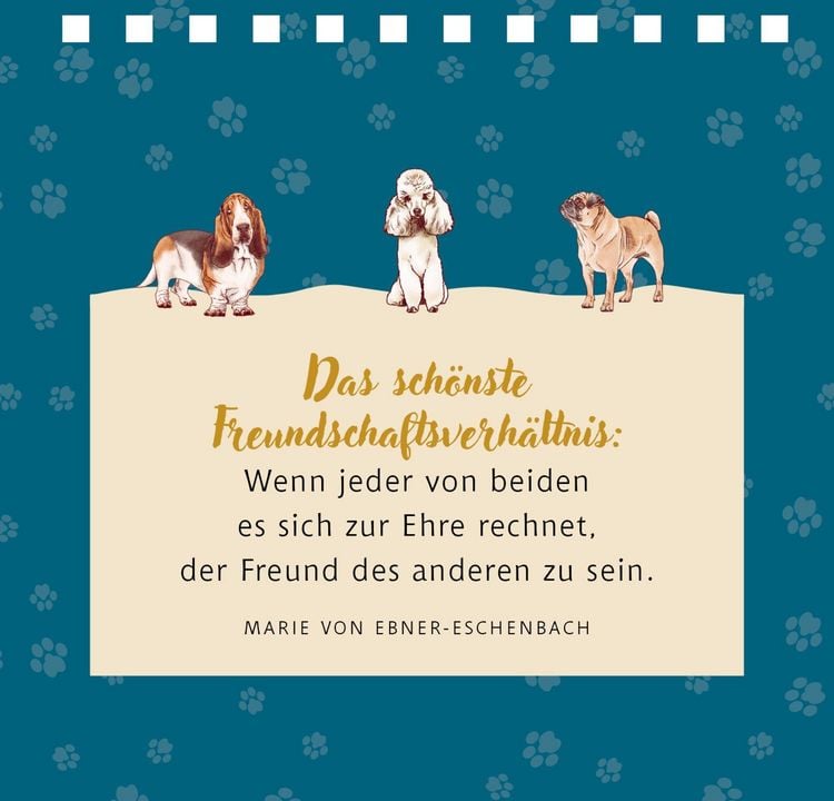 Produktbild: Kl. Spiralaufstellbuch: Tierisch beste Freunde (cats & dogs)