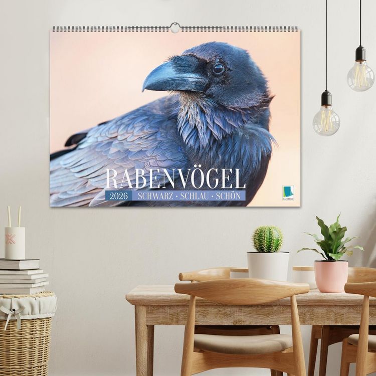 Produktbild: Rabenv&ouml;gel: Schwarz, schlau, sch&ouml;n (Wandkalender 2026 DIN A2 quer), CALVENDO Monatskalender