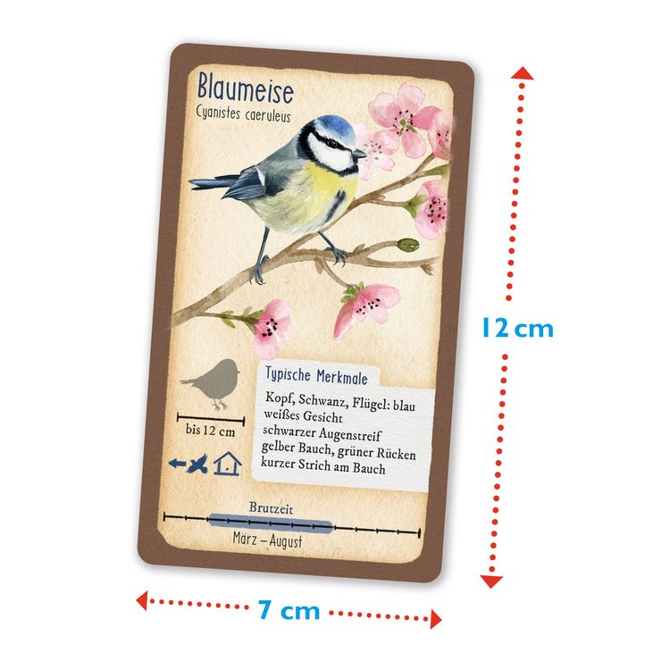 Produktbild: Tour durch die Natur - 50 heimische Singv&ouml;gel