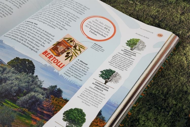 Produktbild: B&auml;ume - Eine Natur- und Kulturgeschichte