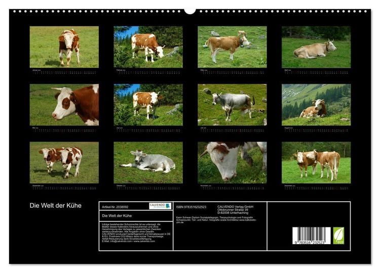 Produktbild: Die Welt der K&uuml;he (hochwertiger Premium Wandkalender 2026 DIN A2 quer), Kunstdruck in Hochglanz