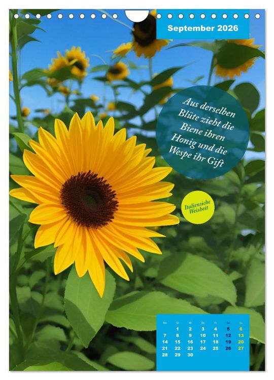 Produktbild: Verr&uuml;ckt nach BLUMEN Artwork - Farben - Zitate (Wandkalender 2026 DIN A4 hoch), CALVENDO Monatskalender