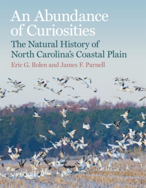 Produktbild: An Abundance of Curiosities