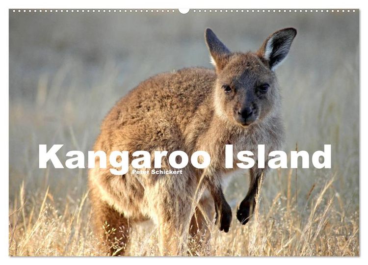 Produktbild: Kangaroo Island (Wandkalender 2026 DIN A2 quer), CALVENDO Monatskalender