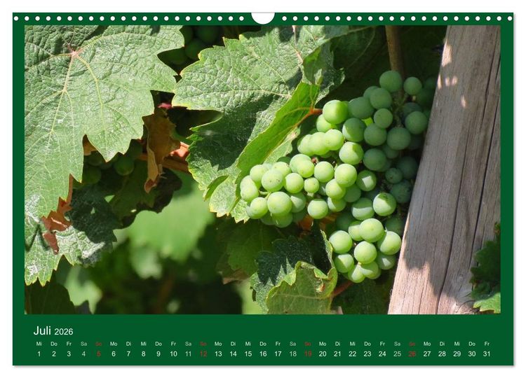 Produktbild: Im Rheingau (Wandkalender 2026 DIN A3 quer), CALVENDO Monatskalender