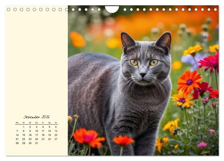 Produktbild: Samtpfoten im Bl&uuml;tenmeer (Wandkalender 2026 DIN A4 quer), CALVENDO Monatskalender