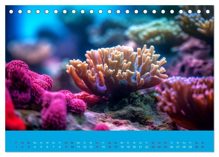 Produktbild: Farbenpracht im Ozean - Die Sch&ouml;nheit der Korallen (Tischkalender 2026 DIN A5 quer), CALVENDO Monatskalender