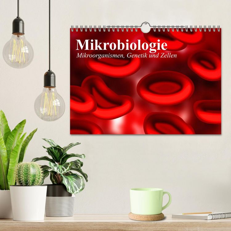 Produktbild: Mikrobiologie. Mikroorganismen, Genetik und Zellen (Wandkalender 2026 DIN A4 quer), CALVENDO Monatskalender