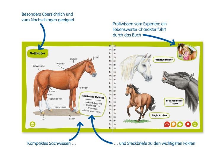 Produktbild: tiptoi&reg; Pferde und Ponys