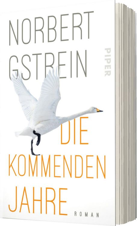 Produktbild: Die kommenden Jahre
