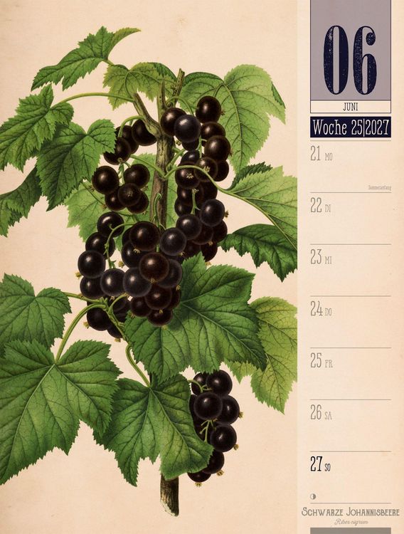 Produktbild: Culinarium Wochenplaner Kalender 2027 | K&uuml;che, Kr&auml;uter, Kurioses