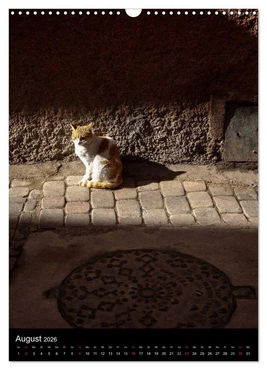 Produktbild: Katzen in Marokko (Wandkalender 2026 DIN A3 hoch), CALVENDO Monatskalender