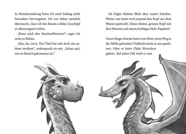 Produktbild: Reiz niemals einen Drachen (Band 2)