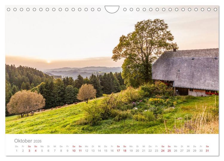 Produktbild: Der Schwarzwald Impressionen (Wandkalender 2026 DIN A4 quer), CALVENDO Monatskalender