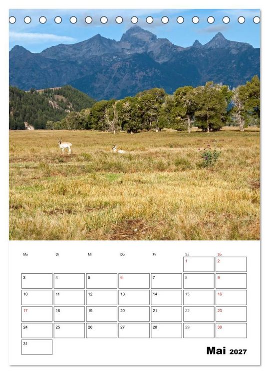 Produktbild: Yellowstone und Grand Tetons Nationalparks (Tischkalender 2027 DIN A5 hoch), CALVENDO Monatskalender