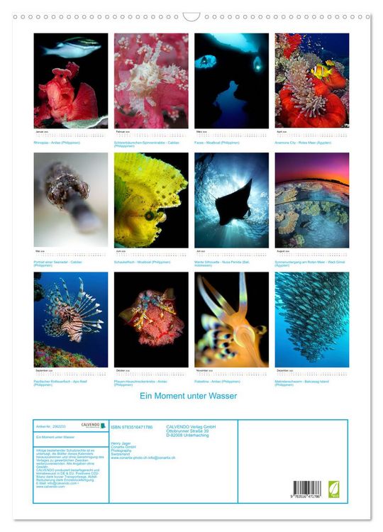 Produktbild: Ein Moment unter Wasser (Wandkalender 2026 DIN A2 hoch), CALVENDO Monatskalender