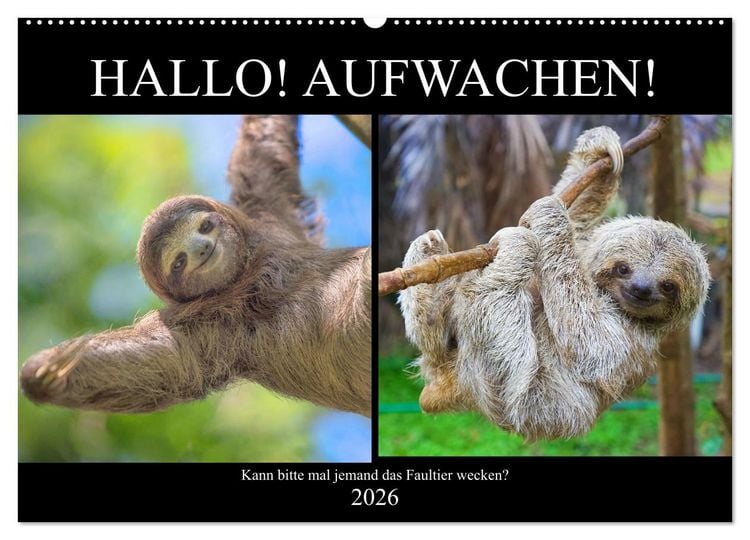 Produktbild: Hallo! Aufwachen! Kann bitte mal jemand das Faultier wecken? (Wandkalender 2026 DIN A2 quer), CALVENDO Monatskalender
