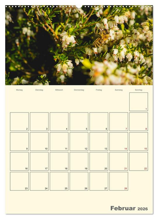 Produktbild: Bienen im Naturgarten (Wandkalender 2026 DIN A2 hoch), CALVENDO Monatskalender