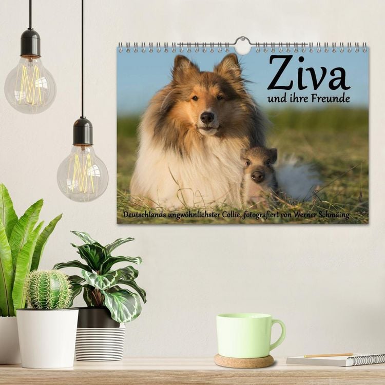 Produktbild: Ziva und ihre Freunde (Wandkalender 2026 DIN A4 quer), CALVENDO Monatskalender