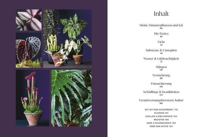 Produktbild: Urban Jungle Style