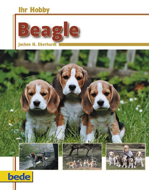 Produktbild: Ihr Hobby Beagle