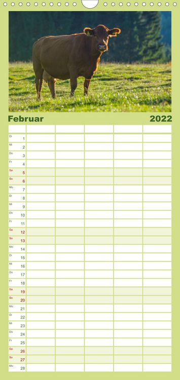 Produktbild: Ein Herz f&uuml;r Rinder - Familienplaner hoch (Wandkalender 2022 , 21 cm x 45 cm, hoch)