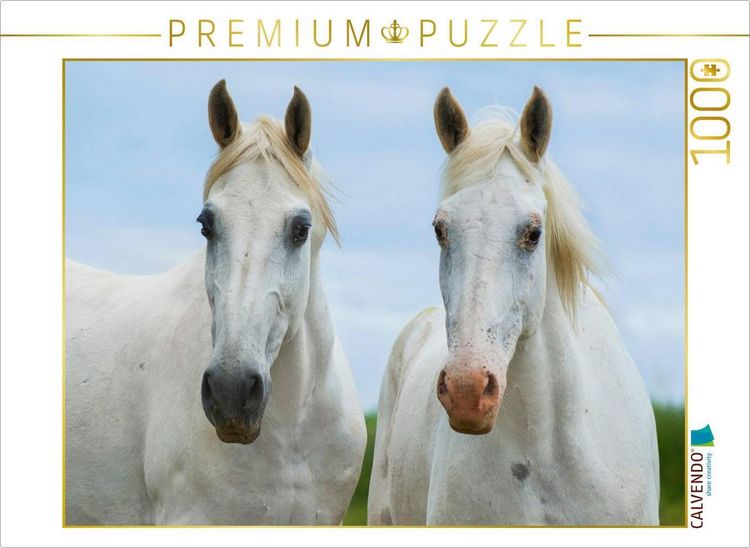 Produktbild: CALVENDO Puzzle Stutenportr&auml;t | 1000 Teile Lege-Gr&ouml;&szlig;e 64x48cm Foto-Puzzle f&uuml;r gl&uuml;ckliche Stunden