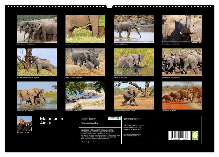 Produktbild: Elefanten in Afrika (hochwertiger Premium Wandkalender 2026 DIN A2 quer), Kunstdruck in Hochglanz