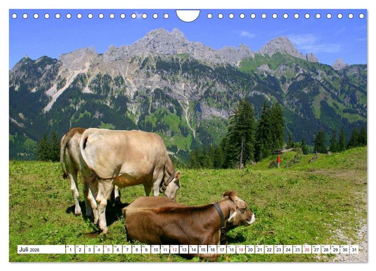 Produktbild: Geliebtes Tirol. Alpiner Zauber in &Ouml;sterreich (Wandkalender 2026 DIN A4 quer), CALVENDO Monatskalender