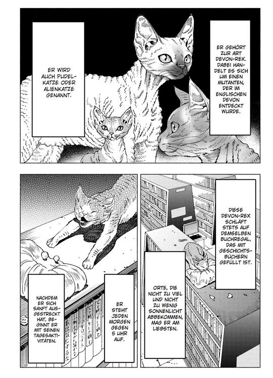 Produktbild: Night of the Living Cat 04 - Die Katze aus einer anderen Welt - D-Rex
