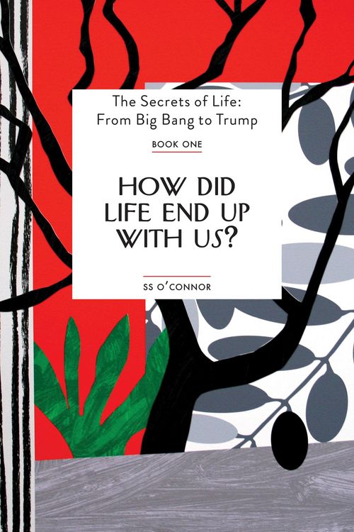 Produktbild: How Did Life End Up With Us?