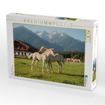 Produktbild: CALVENDO Puzzle Spielende Haflinger Fohlen | 1000 Teile Lege-Gr&ouml;&szlig;e 64x48cm Foto-Puzzle f&uuml;r gl&uuml;ckliche Stunden
