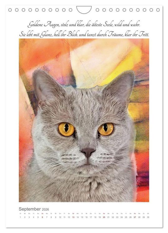 Produktbild: Katzenlyrik - Zw&ouml;lf Seelen auf Samtpfoten in Wort und Bild (Wandkalender 2026 DIN A4 hoch), CALVENDO Monatskalender