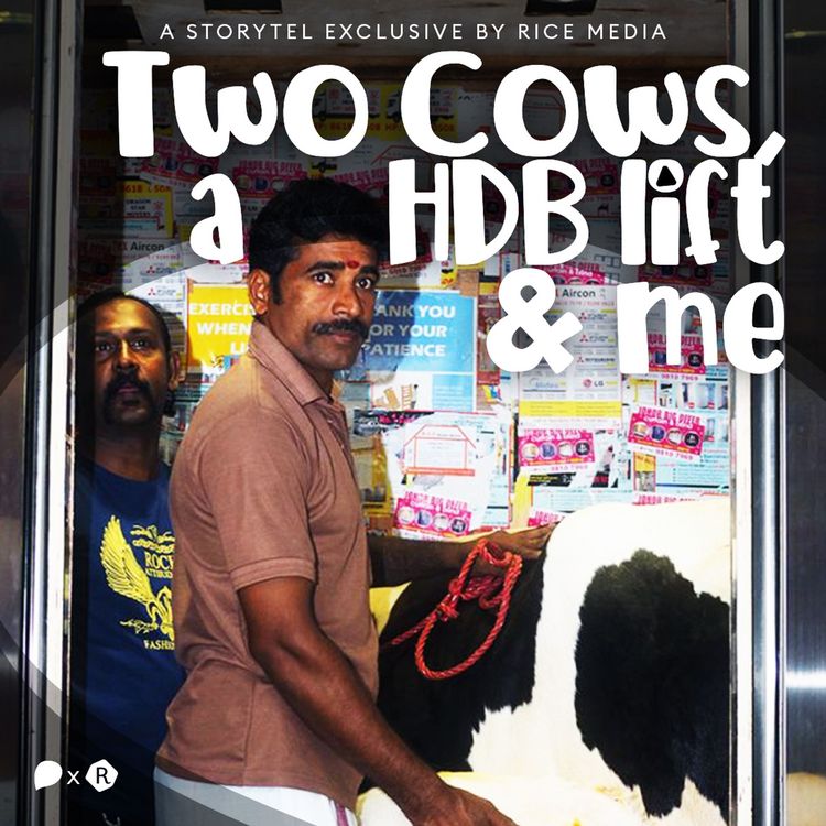 Produktbild: Two Cows, a HDB Lift, and Me