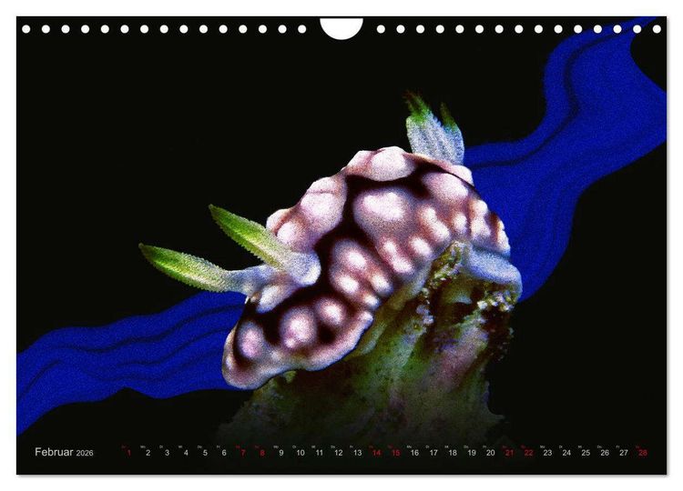 Produktbild: Artwork Unterwasser - Erlebnis Tauchen (Wandkalender 2026 DIN A4 quer), CALVENDO Monatskalender
